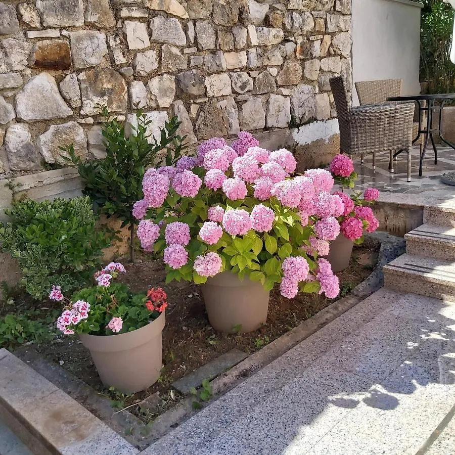 Apartments Ella Rovinj